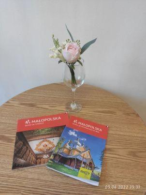 Your Trip Apartment كراكوفيا المظهر الخارجي الصورة